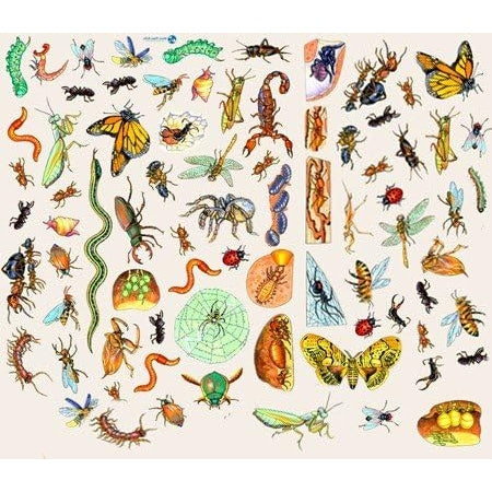 Creepy Crawlers Bugs Insects Felt Figures Only