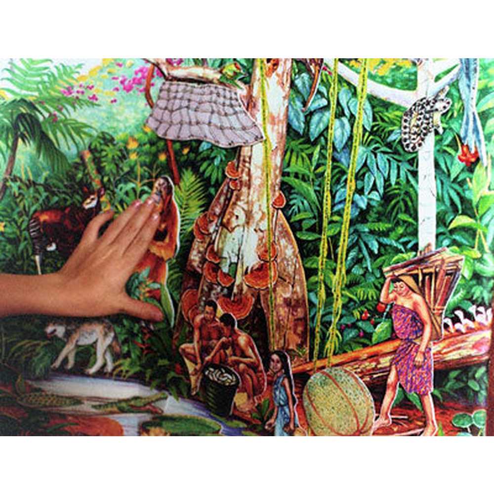 Rainforest Animals Set