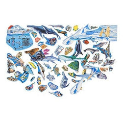 Ocean Sea Creatures Set With Background