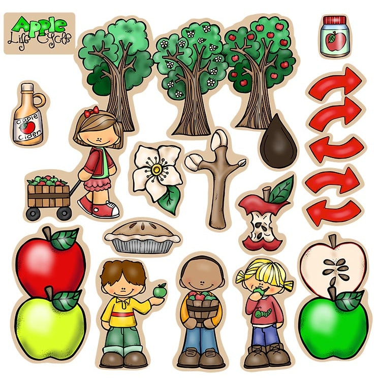 Apple Life Cycle Felt Set