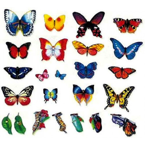 Butterflies