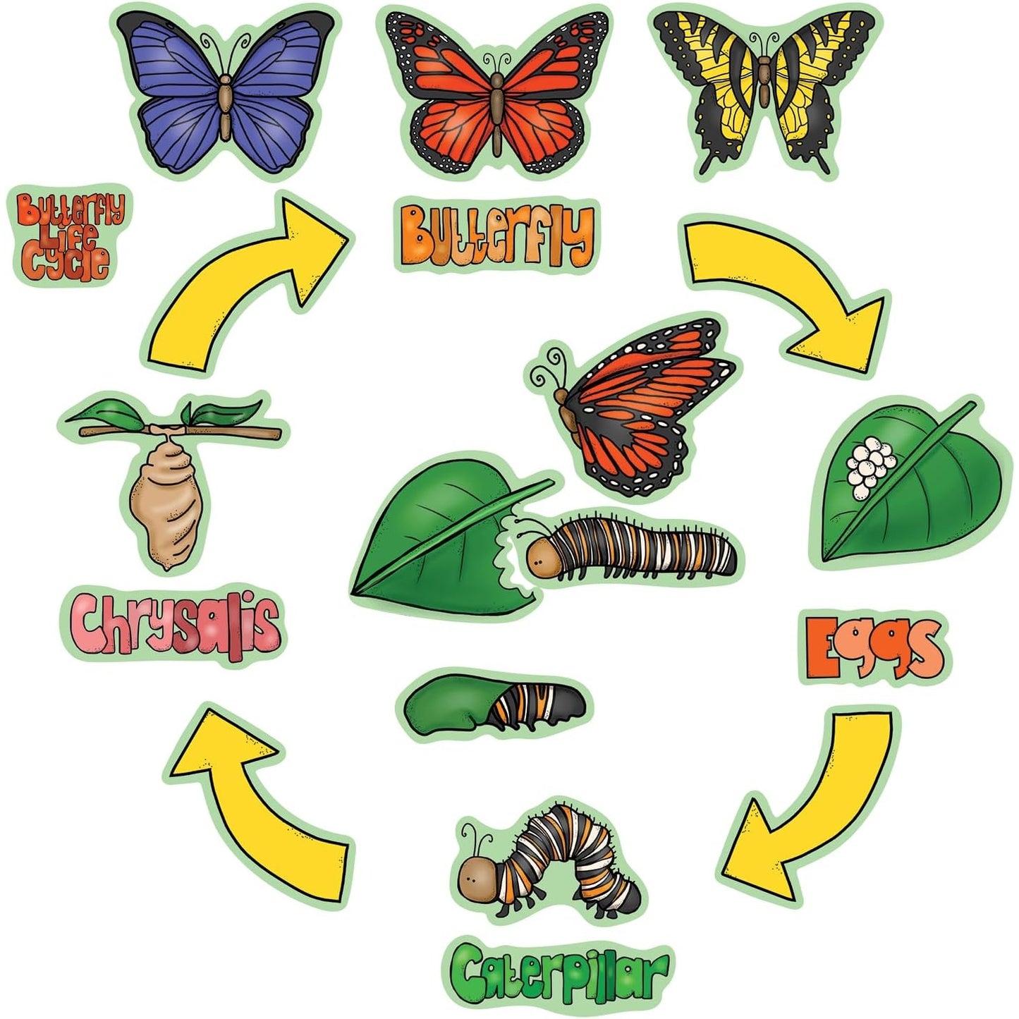 Butterfly Life Cycle Felt Board Figure Set