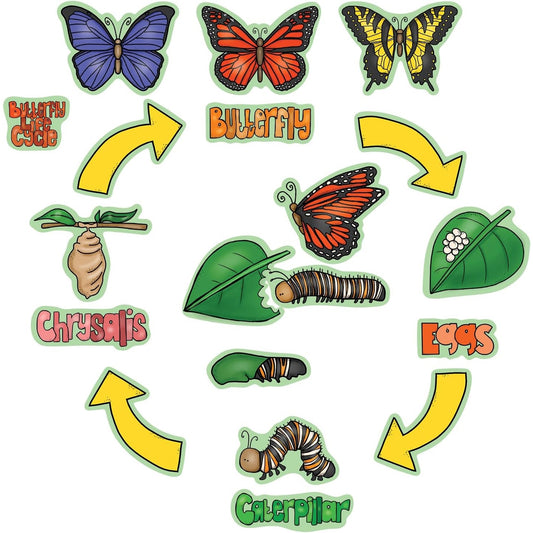Butterfly Life Cycle Felt Board Figure Set