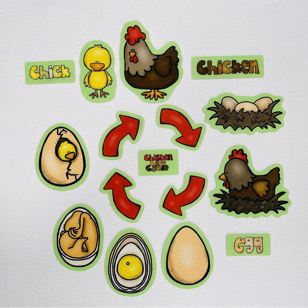 Chicken Life Cycle Felt Figures