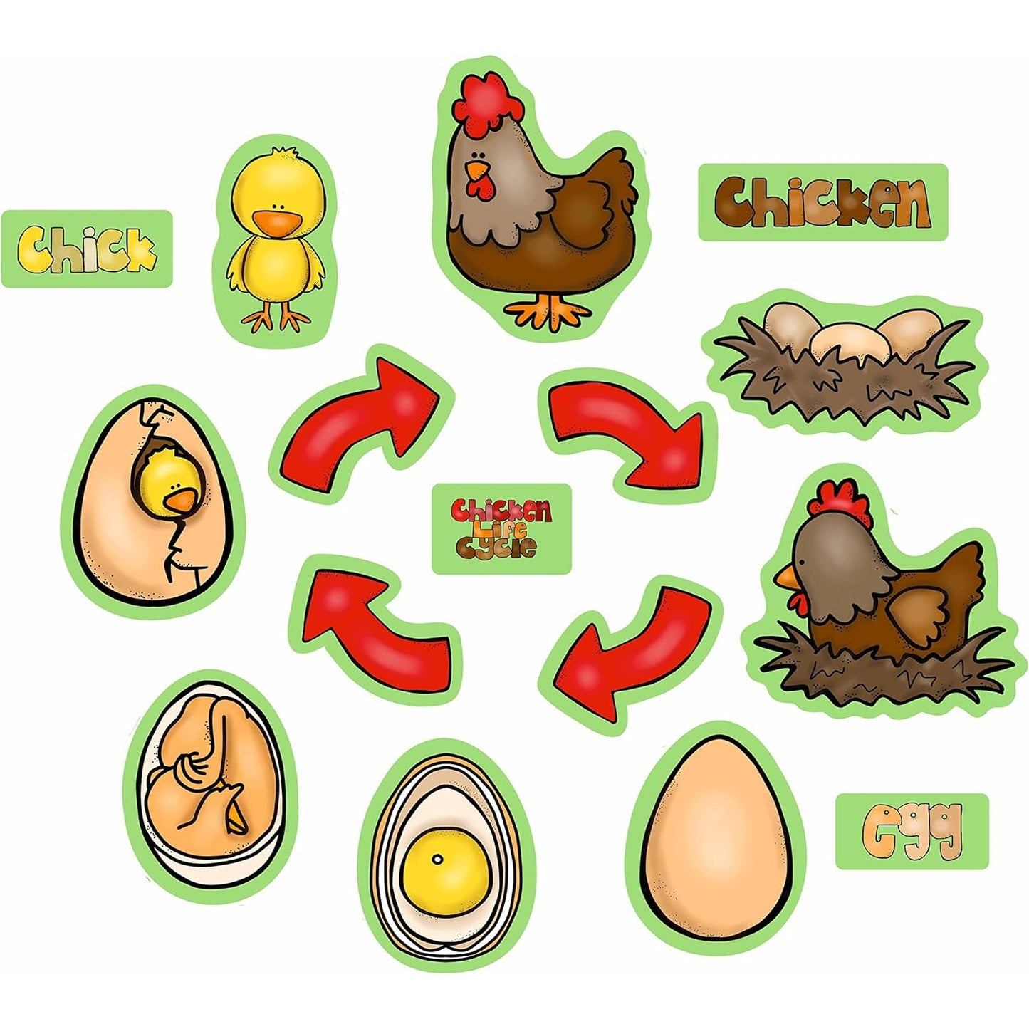 Chicken Life Cycle Felt Figures