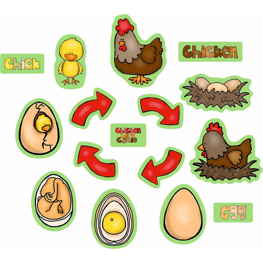 Chicken Life Cycle Felt Figures