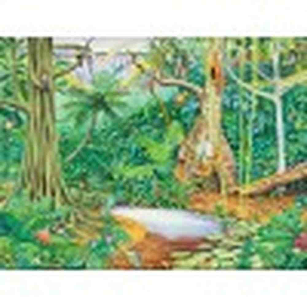 Rainforest Animals Set