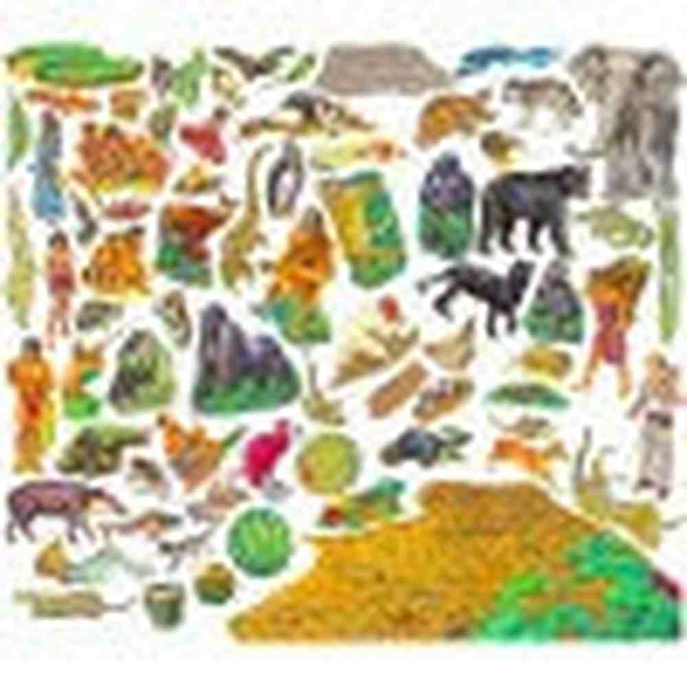 Rainforest Animals Set