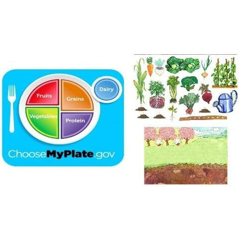 What's Growing? Vegetable Learning Kit Felt Figures